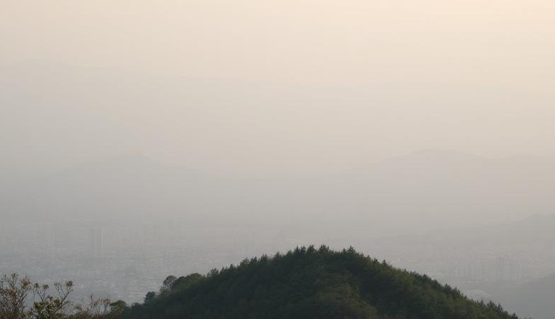 조아 툰